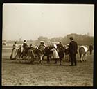 Marine Terrace sands donkeys  [Slide]